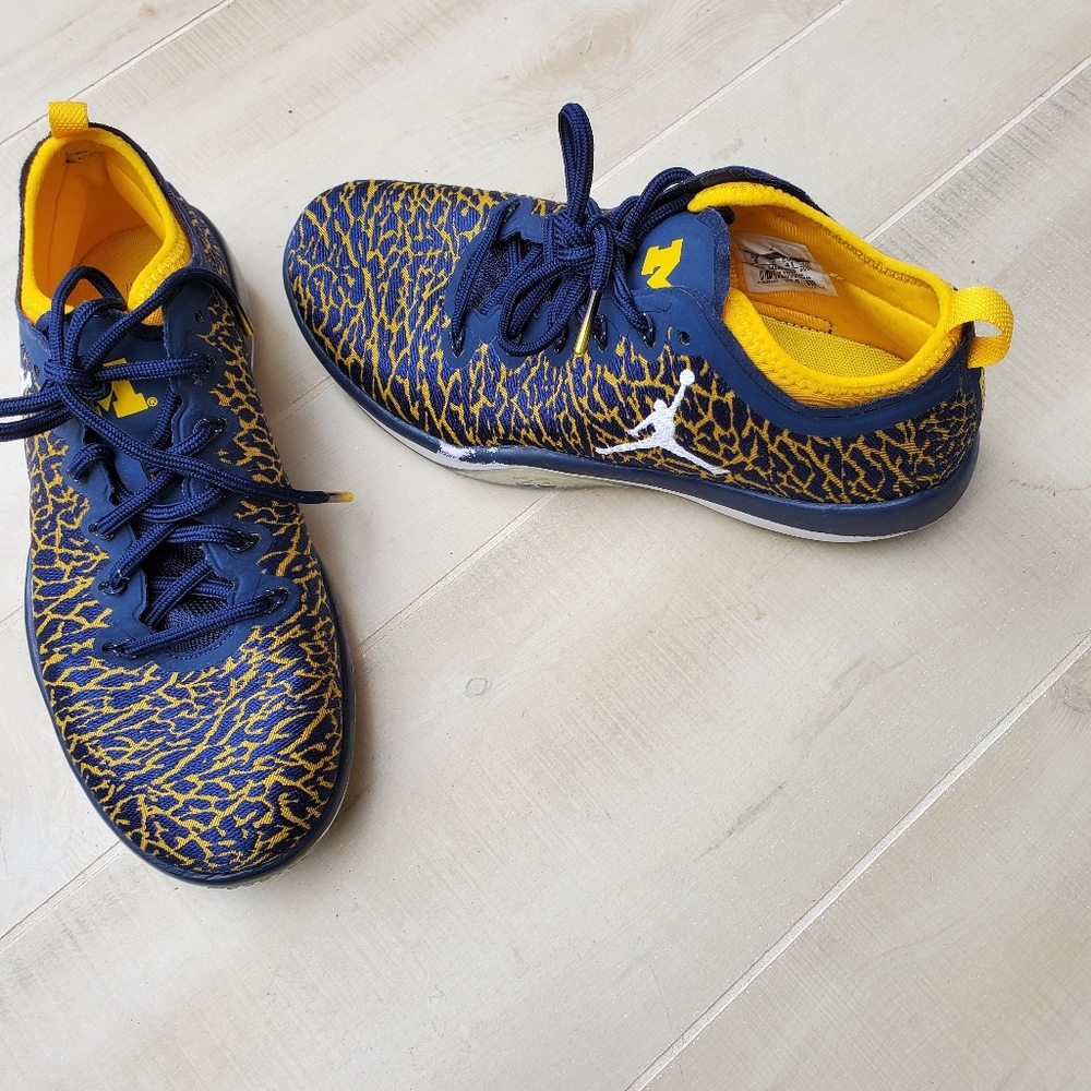 Jordan University Of MICHIGAN Athletic Sneakers with Crackle Design - Picture 3 of 10